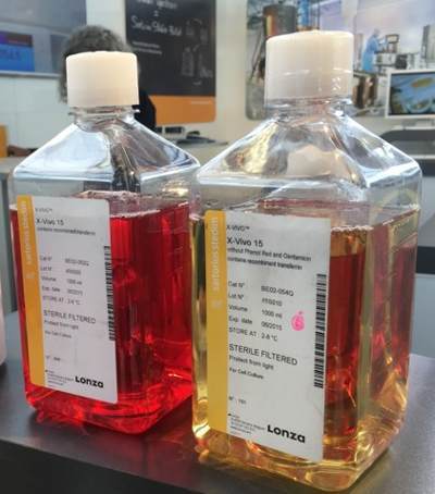 lonza X-VIVO 15 免疫細(xì)胞無(wú)血清培養(yǎng)基