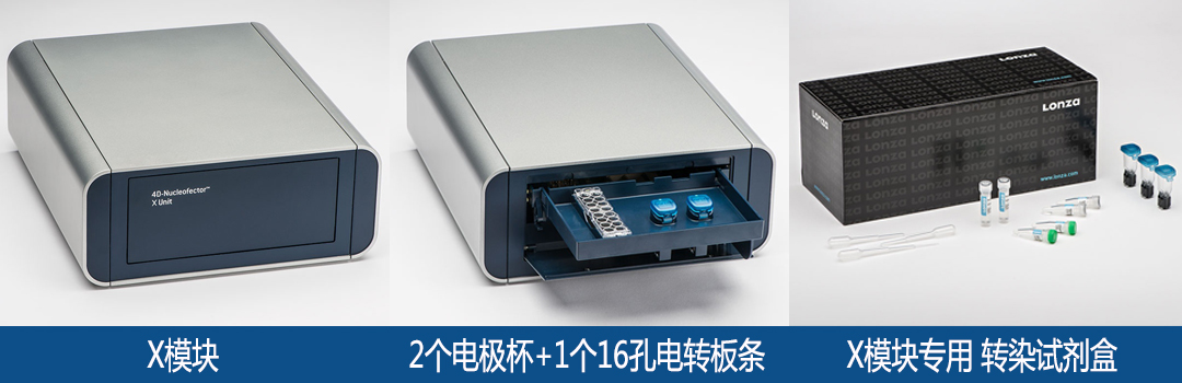 lonza Nucleofector X單元轉(zhuǎn)染試劑盒