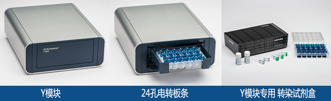 lonza Nucleofector y單元轉(zhuǎn)染試劑盒