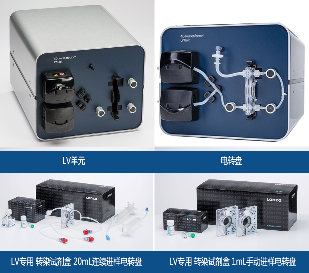 lonza Nucleofector lv單元轉(zhuǎn)染試劑盒