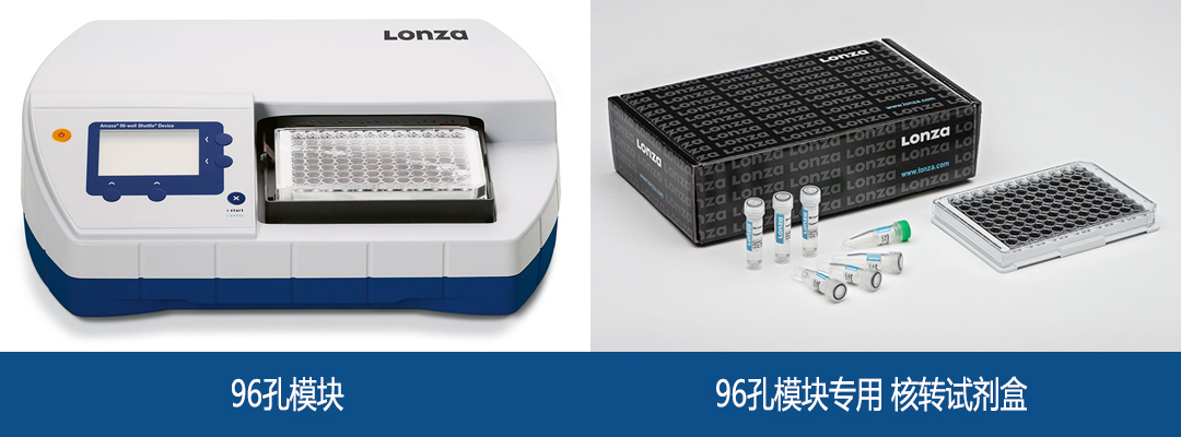 lonza Nucleofector 96孔單元轉(zhuǎn)染試劑盒