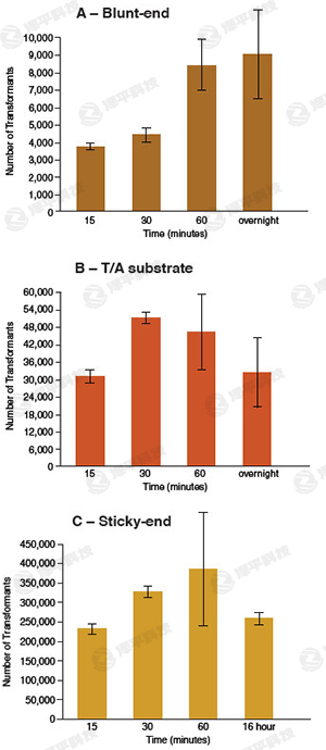NBED(zhun)BøElectroLigase؛̖(ho)M0369 ̱ƽ