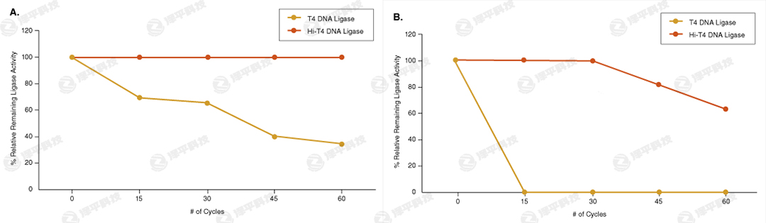NEB Hi-T4 ͟DNABø Hi-T4 DNA Ligase؛̖(ho)M2622  ̱ƽ